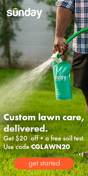 Sunday lawn care review