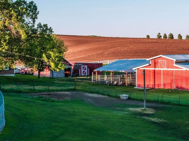 Donald Family Farm