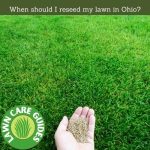 When should I reseed my lawn in Ohio?
