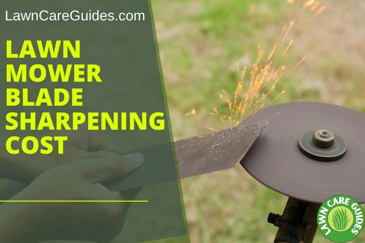 Should The Lawn Mower Deck Be Level? Lawn Liberty