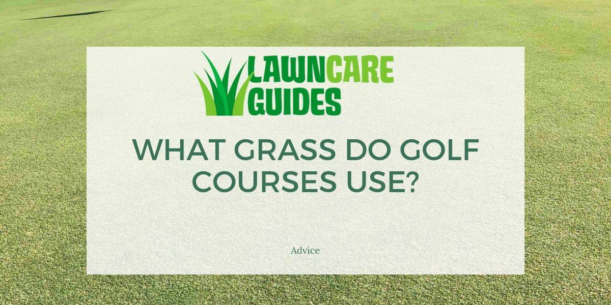 What Kind of Grass Do Golf Courses Use? 5 Types Lawn Liberty