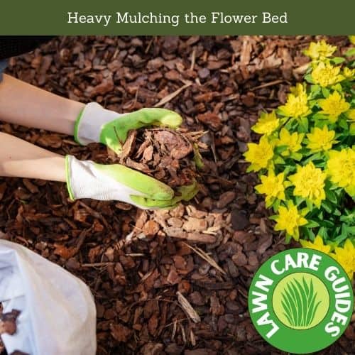 Heavy Mulching the Flower Bed