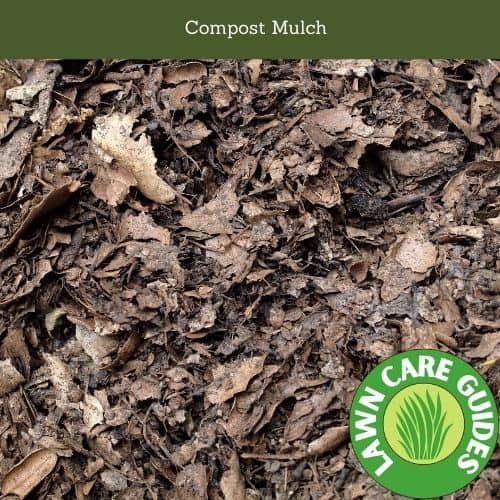 Compost Mulch