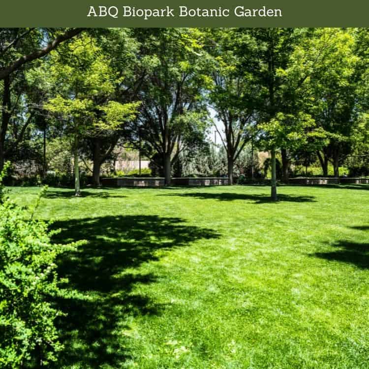 ABQ Biopark Botanic Garden