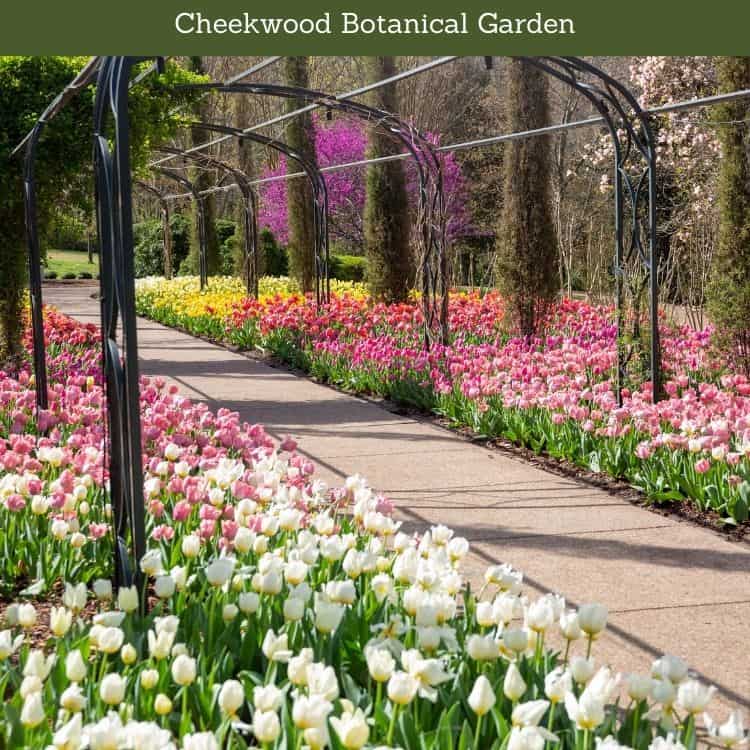 Cheekwood Botanical Garden