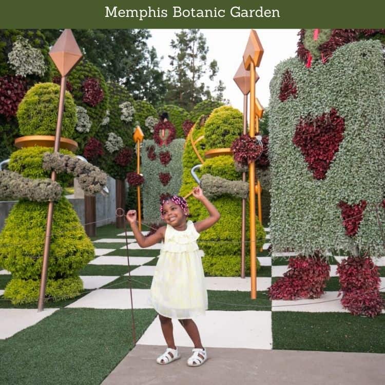 Memphis Botanic Garden