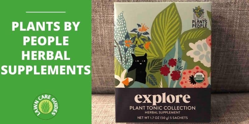 Plants By People Herbal Supplements