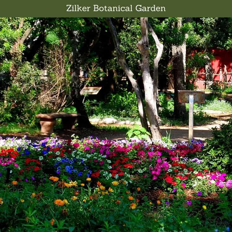 Zilker Botanical Garden