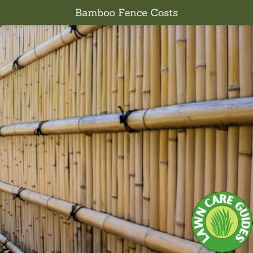 Bamboo Fence Costs