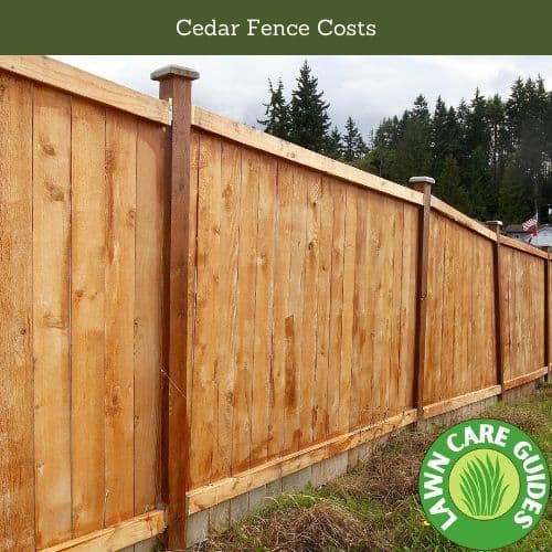 Cedar Fence Costs