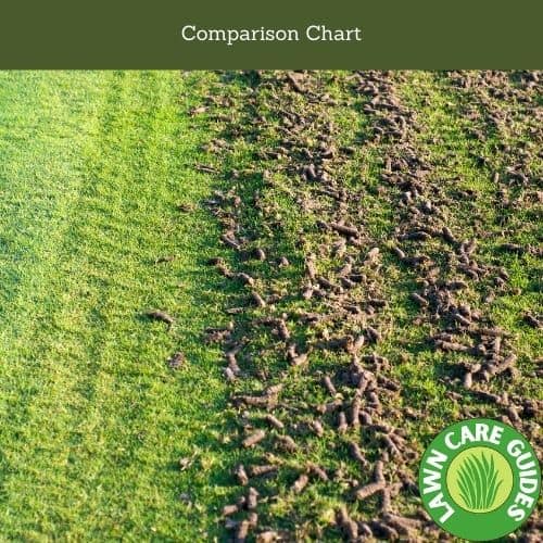 Dethatching Vs. Aeration Comparison Chart