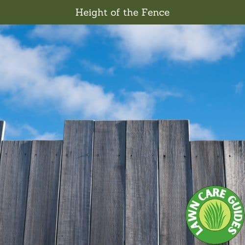 Height of the Fence