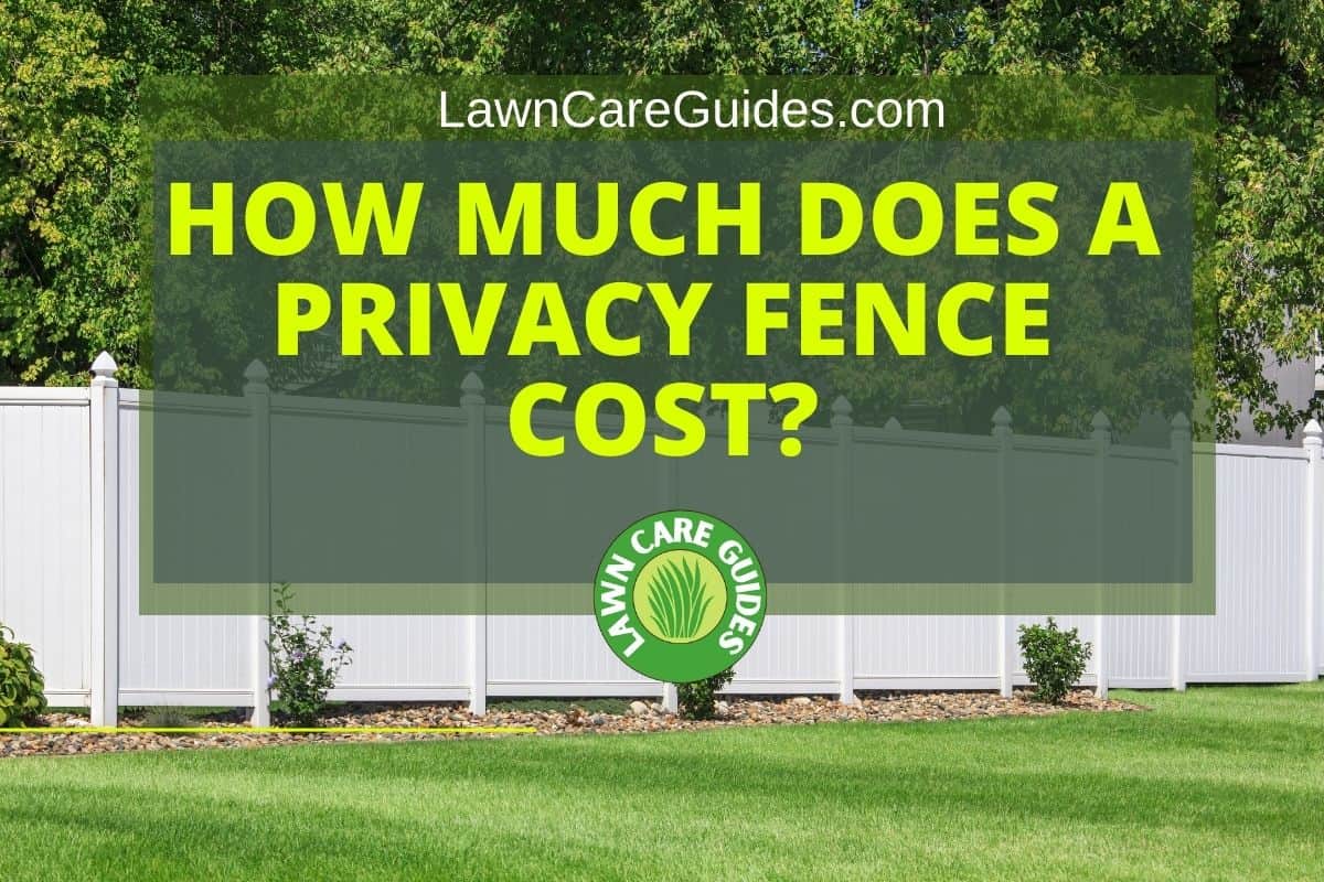 How Much Does a Privacy Fence Cost? Lawn Liberty