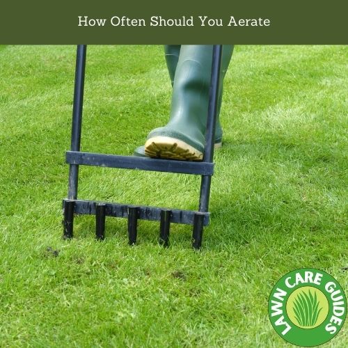 How Often Should You Aerate