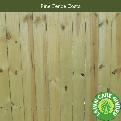 Pine Fence Costs