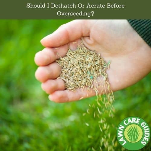 Should I Dethatch Or Aerate Before Overseeding?