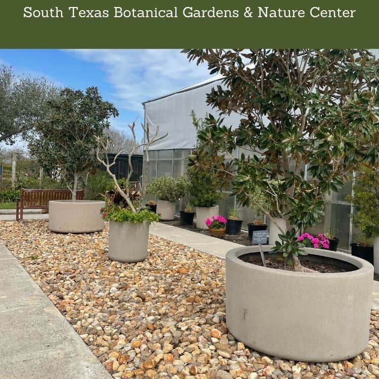 South Texas Botanical Gardens Nature Center