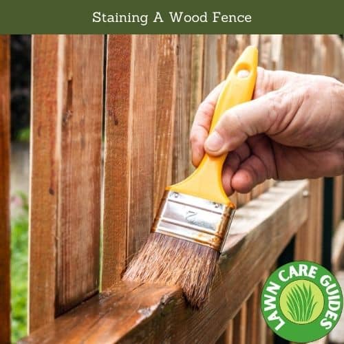 Staining A Wood Fence