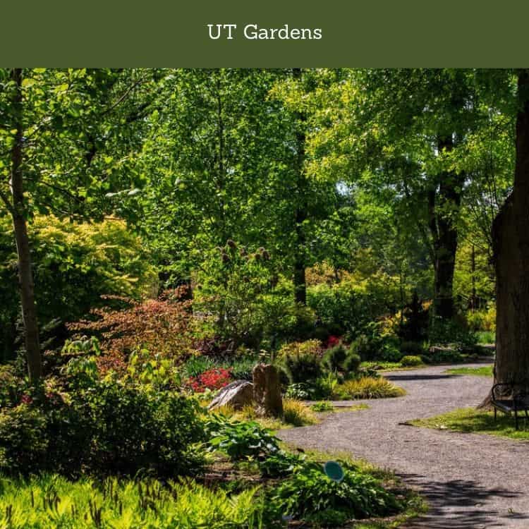 UT Gardens
