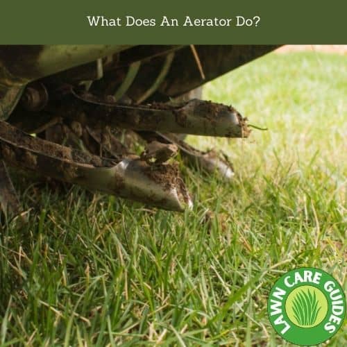 What Does An Aerator Do1