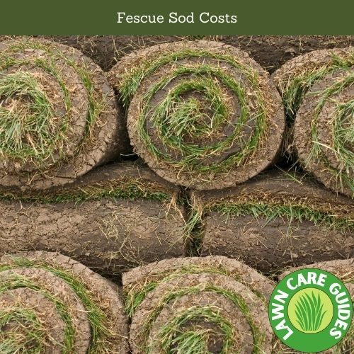 Fescue Sod Costs