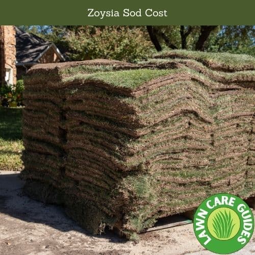 Zoysia Sod Cost