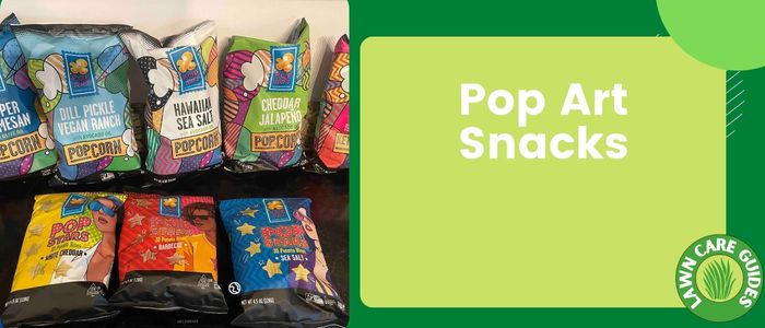 Pop Art Snacks