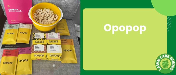 opopop
