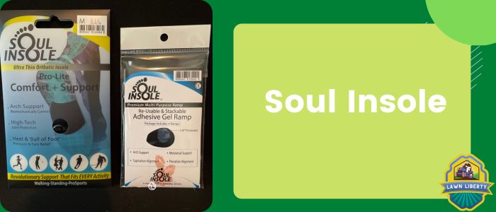 Soul Insole