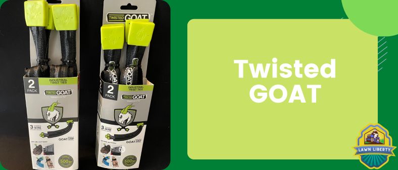 Twisted GOAT